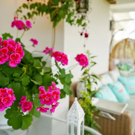 Вилла Ionian Sea View Като-Коракиана